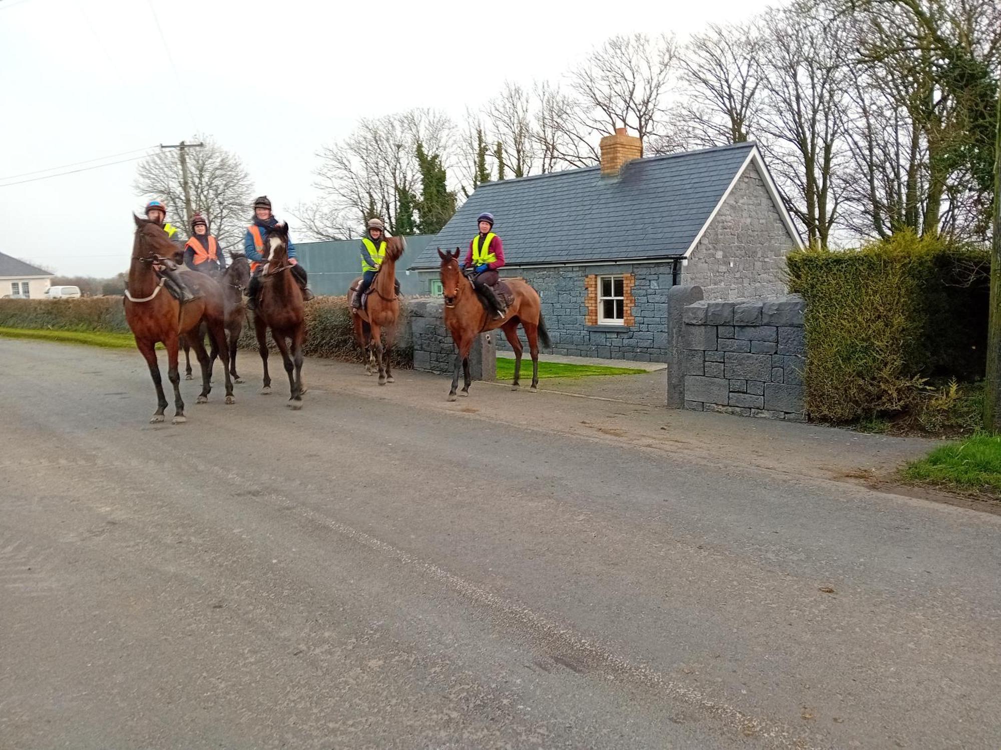 Fenniscourt Cottage Carlow Exteriör bild